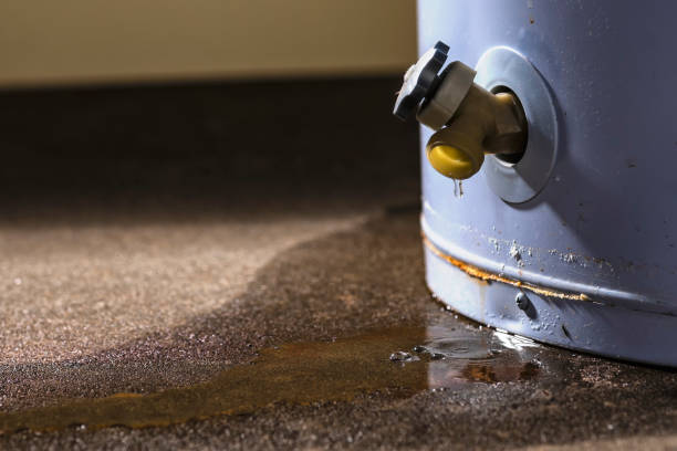Best Water damage repair service  in Oglala, SD