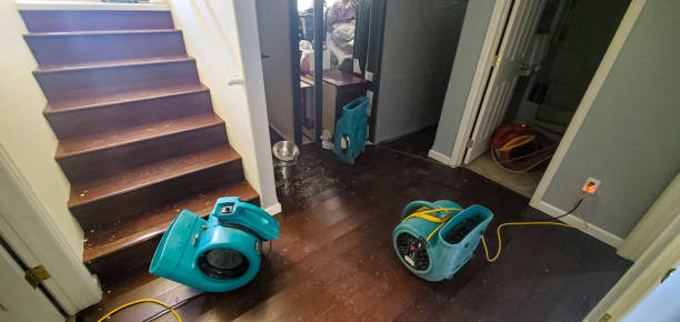 Best Flood damage cleanup  in Oglala, SD