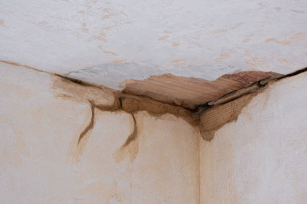 Best Flooded house restoration  in Oglala, SD