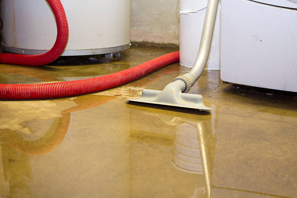 Water damage restoration mold remediation in SD