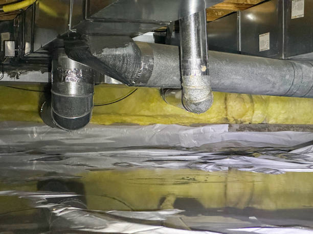 Best Water damage cleanup near me  in Oglala, SD