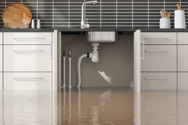 Best Commercial water damage restoration  in Oglala, SD