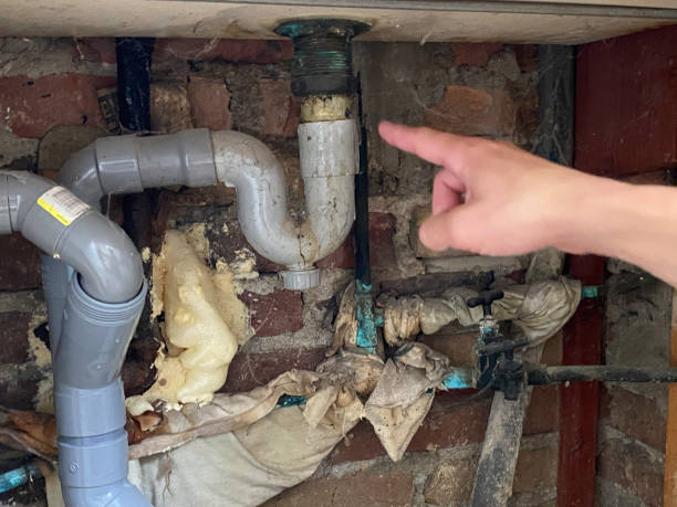 Best Water damage restoration near me  in Oglala, SD